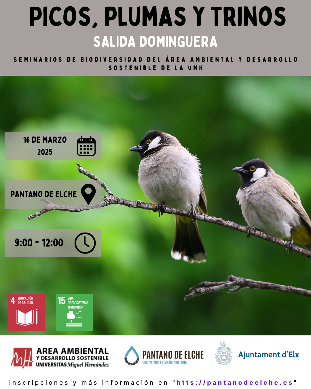 PICOS PLUMAS Y TRINOS 4