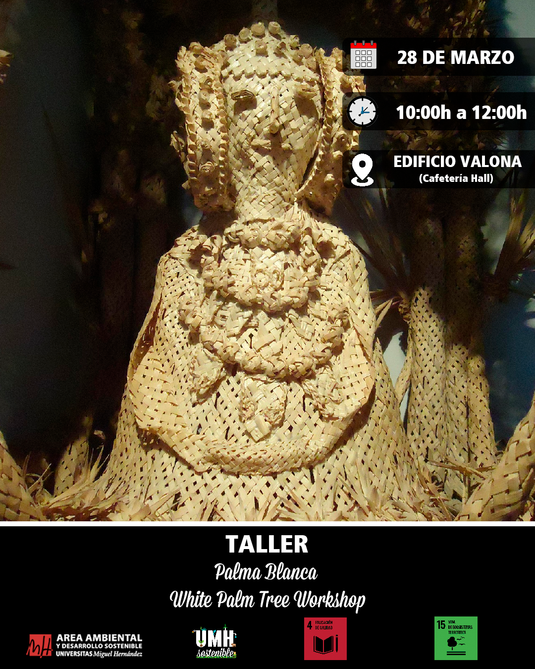 Taller_18_-_Palma_Blanca.png