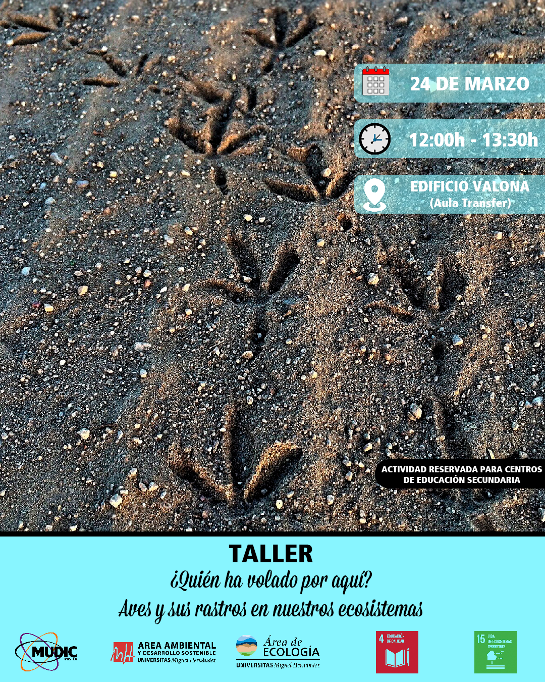 Taller_3_-_Huellas_de_aves.png